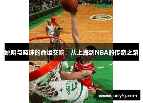 姚明与篮球的命运交响：从上海到NBA的传奇之路